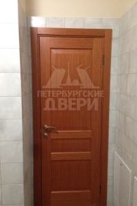 Установка двери ПГ Дублин 3