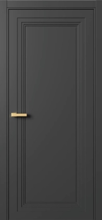 Межкомнатная Дверь ПГ Erte 1 Rustica  в цвете Базальт (NCS S 8000-N) без стекла