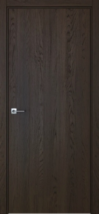 Межкомнатная дверь ПГ BASE 1 в цвете Дуб Рут без стекла